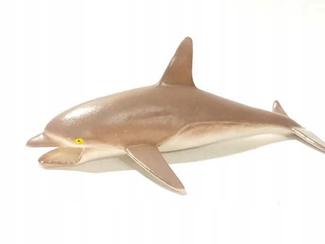 

Zwierzęta Morskie I Oceanów Nr P Duży Delfin
