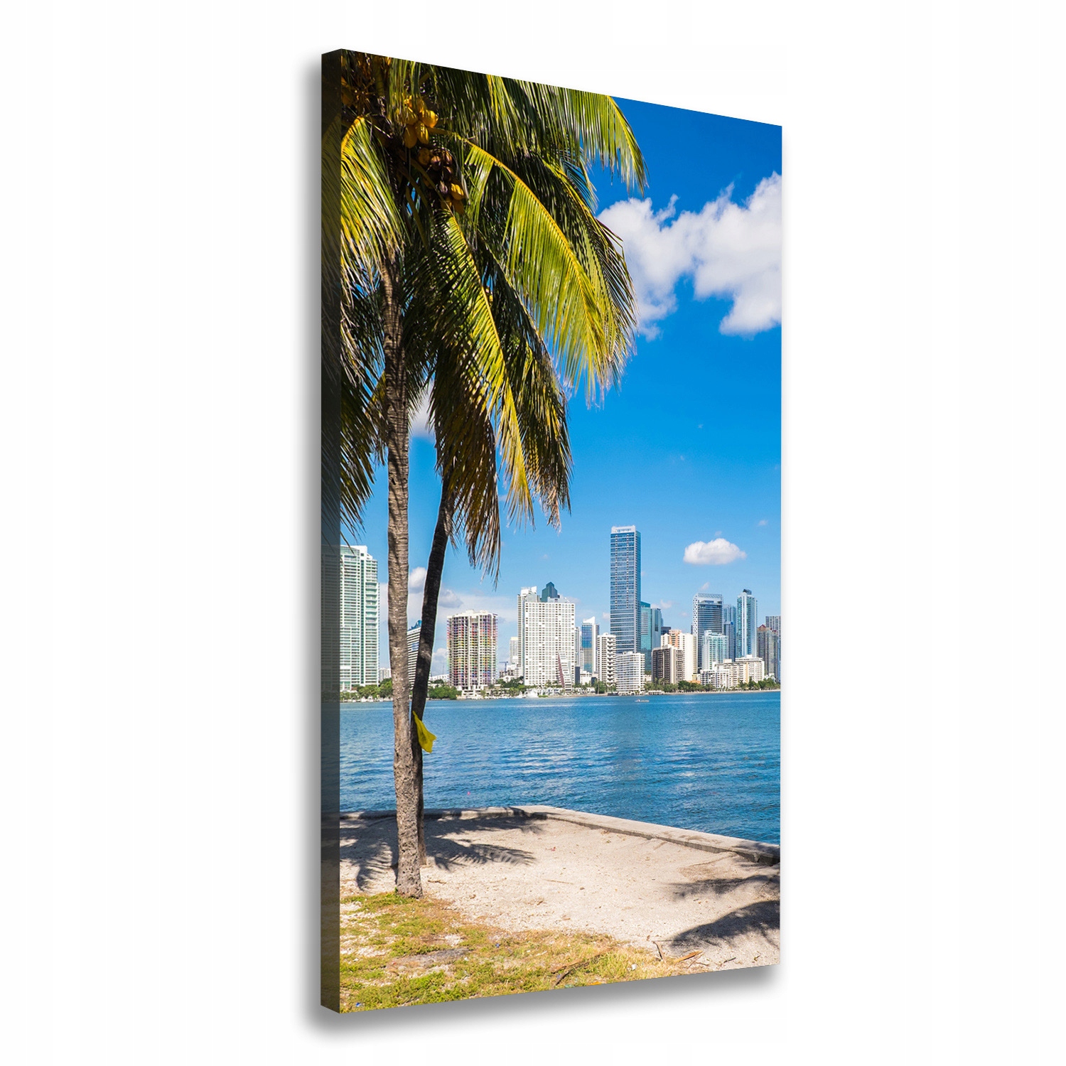 

Foto-obraz zdjęcie na płótnie Miami 60x120 cm