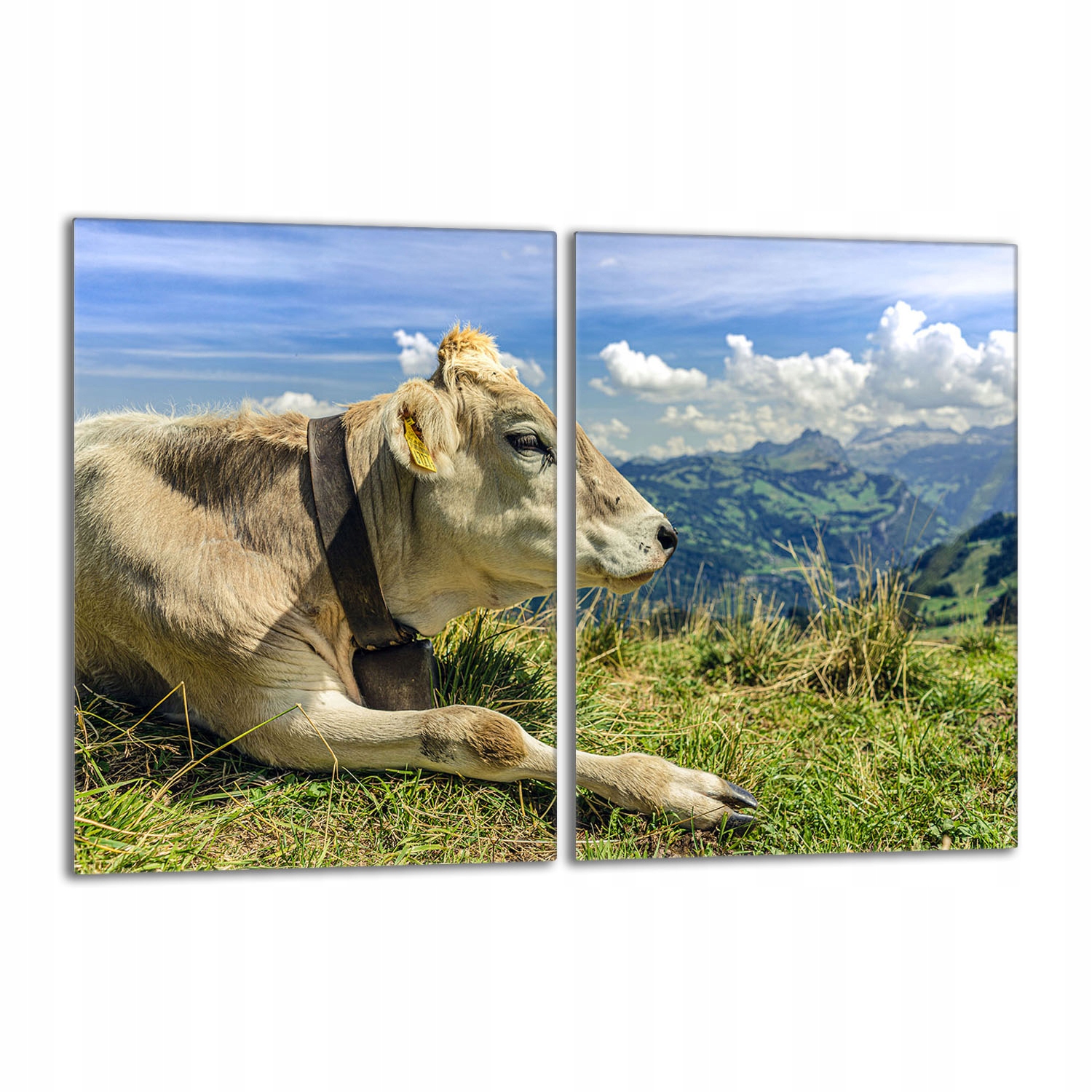 Skleněná ochranná deska na sporák 2x40x52 Kráva Do Kuchyně