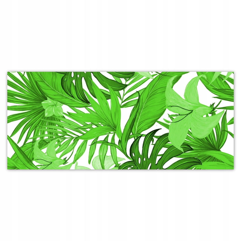 

Fototapety flizelina 211x91 Monstera