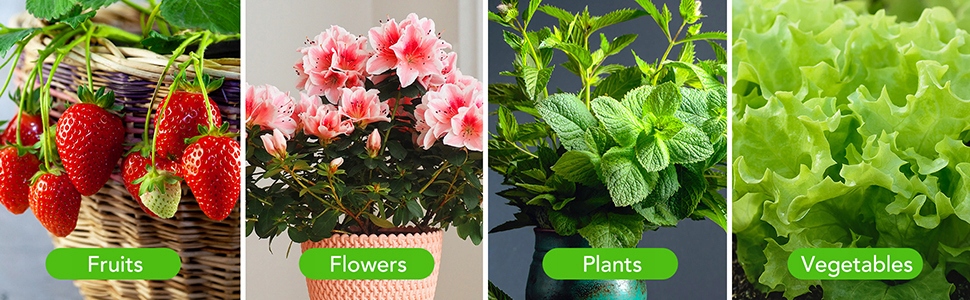 4x LAMPA DO WZROSTU ROŚLIN 80x UV LED UPRAWA TIMER KLIPS 3 TRYBÓW EAN (GTIN) 6940761902691