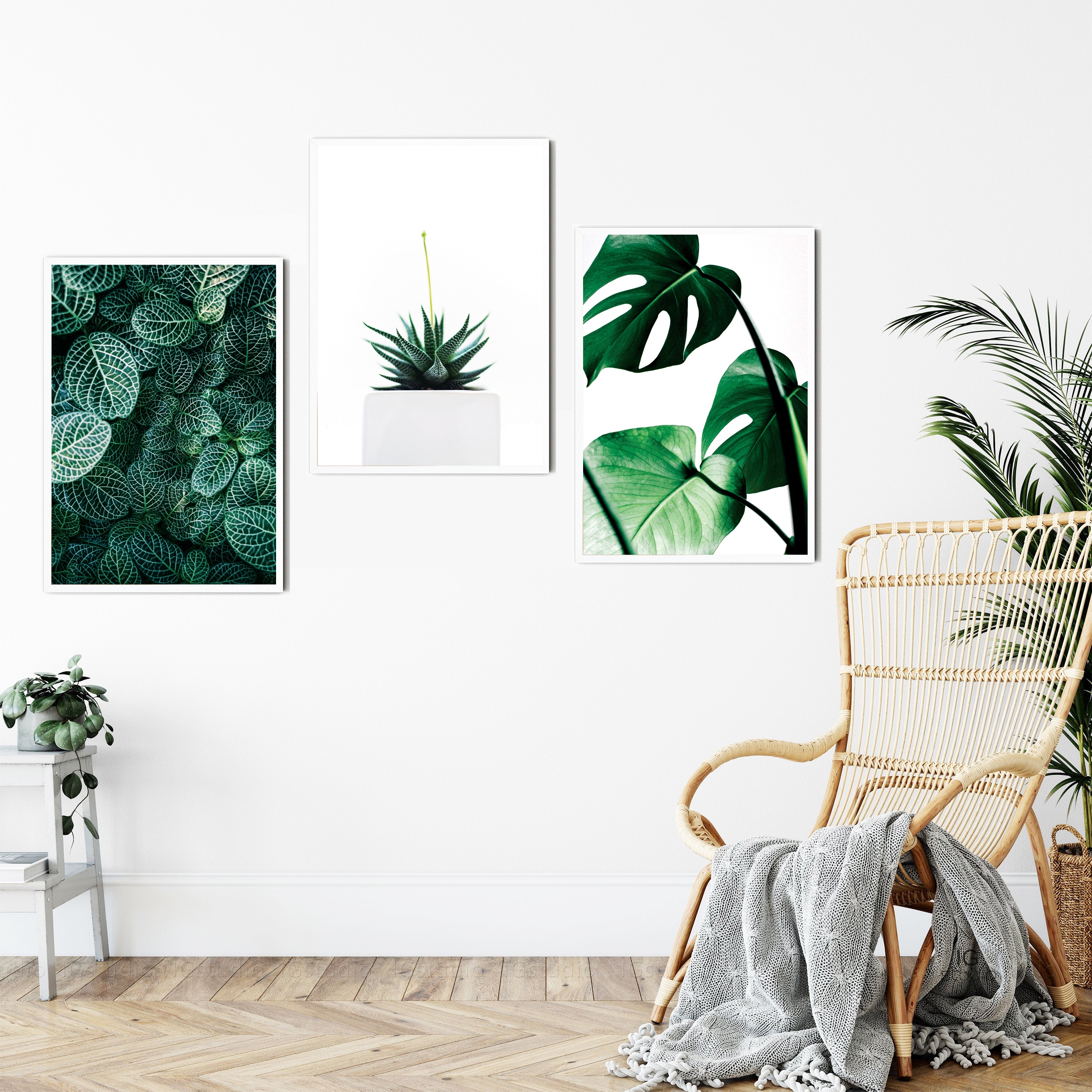 OBRAZY PLAKATY ZESTAW 3 SZTUKI A3 30,00 x 40,00 cm ROŚLINY LIŚCIE Rodzaj bez ramy