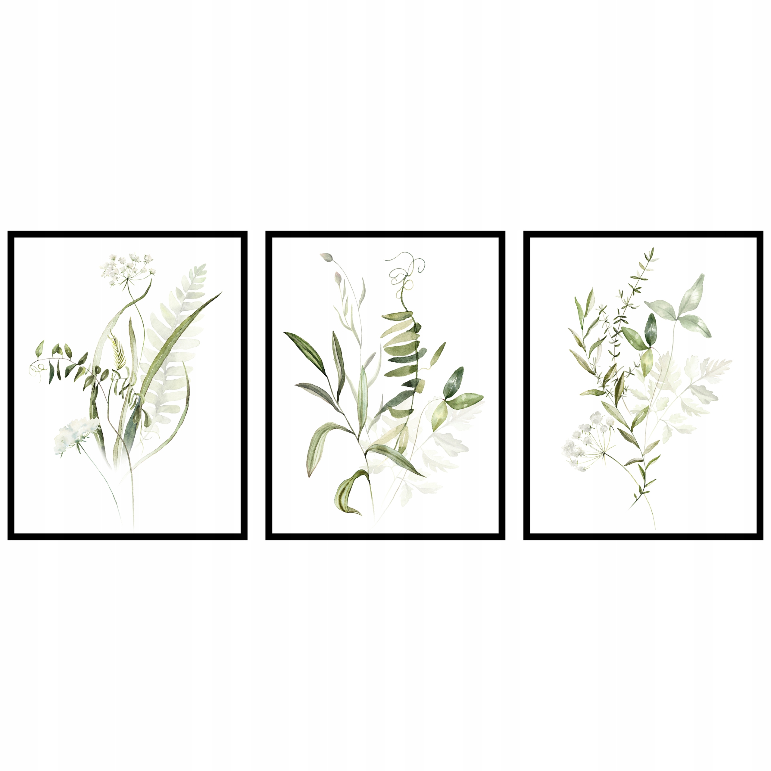 Triptychová sada plagátov rastliny grafika botanika zelená 3ks 60x90cm fotopp