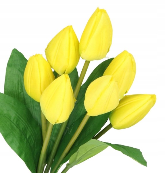 

Tulipany Bukiet Tulipanów Tulipan 44CM 7GAŁ