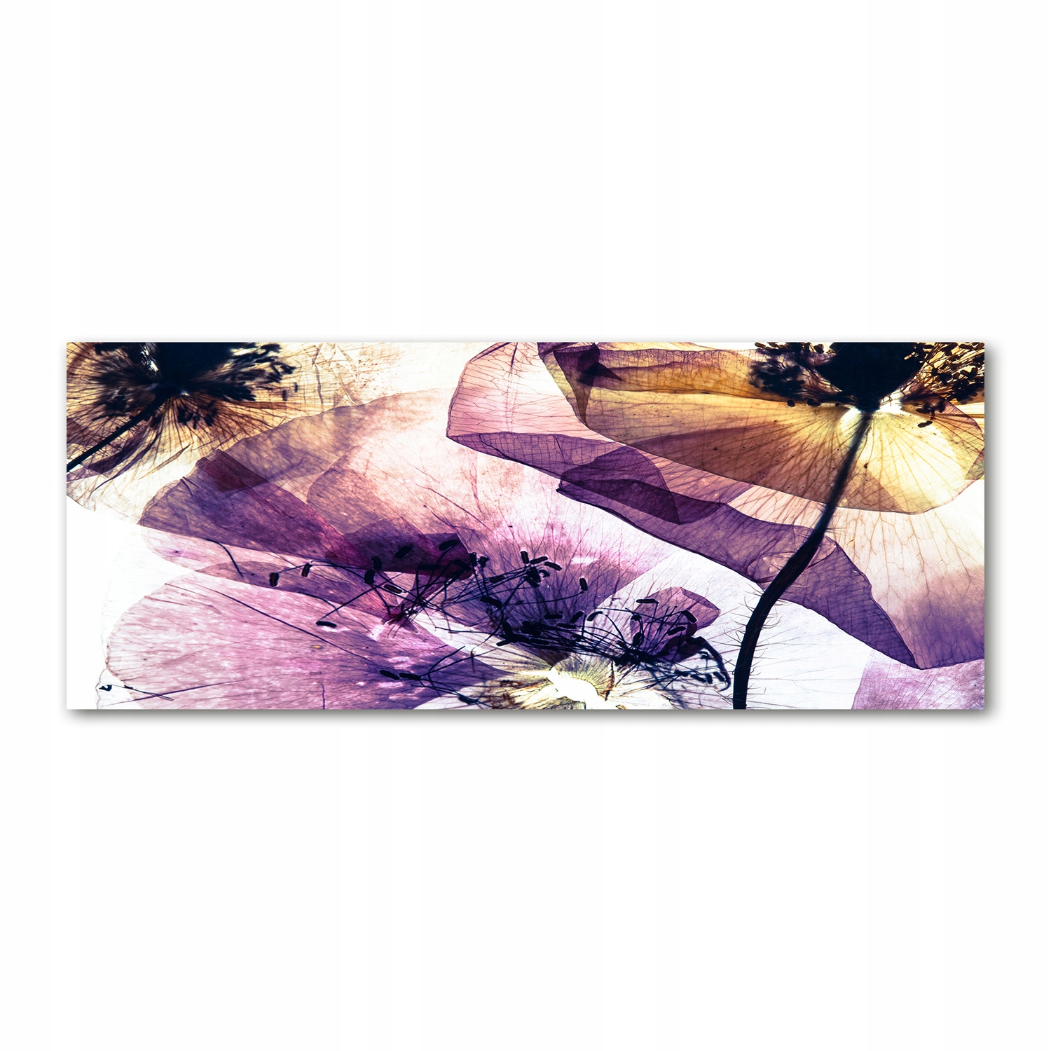 

Foto obraz akryl nowoczesny Suche maki 125x50 cm