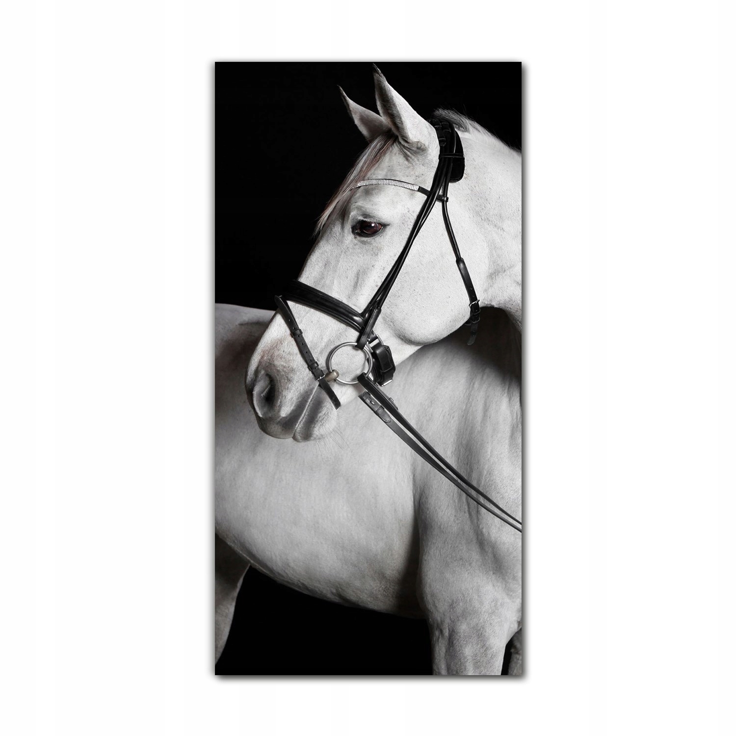 

Obraz szklany grafika do salonu 70x140 Zwierzę koń