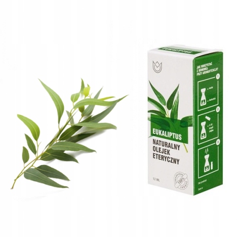 

Olejek eukaliptus, 10 ml