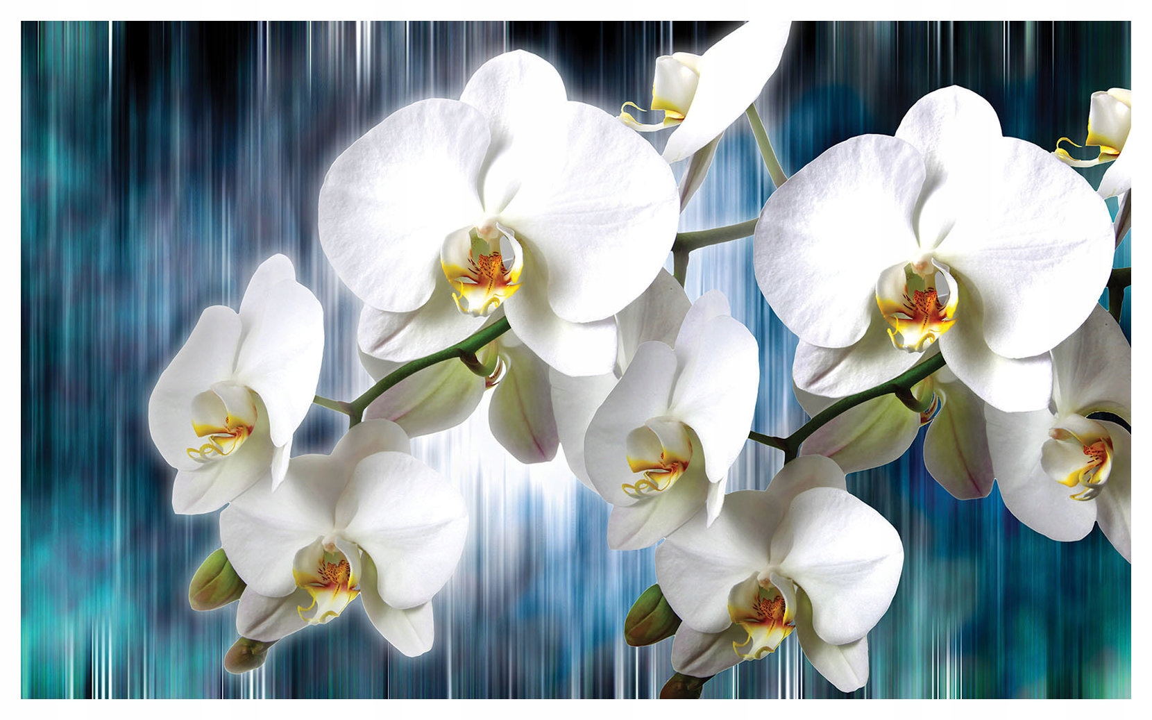 Fototapeta flizelina Bílé orchideje Elegance a klid přírody 312x219 lepidlo