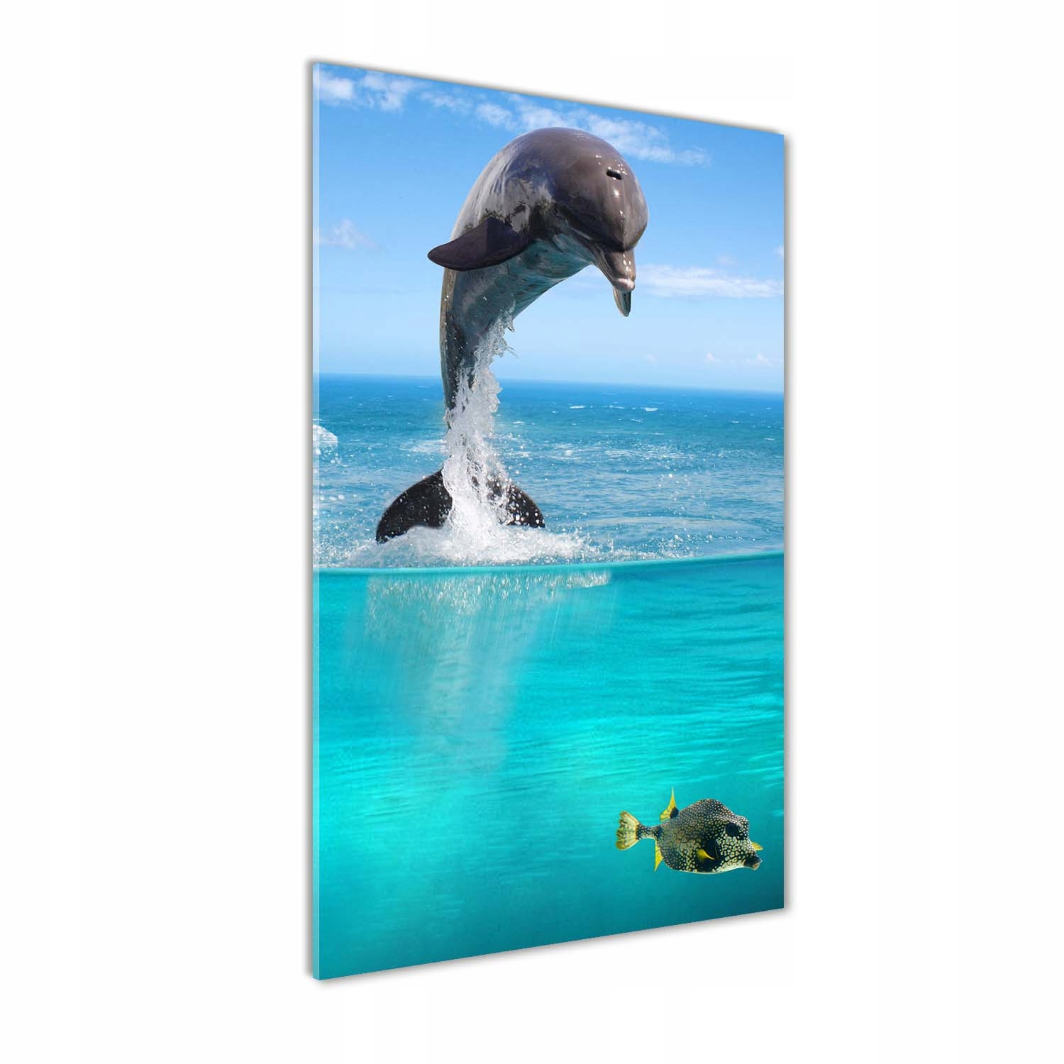 Akrylový fotoobraz do obývacího pokoje Podmořský svět 60x120 cm