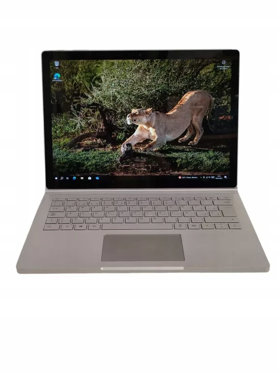 Microsoft Surface Book - Niska cena na Allegro