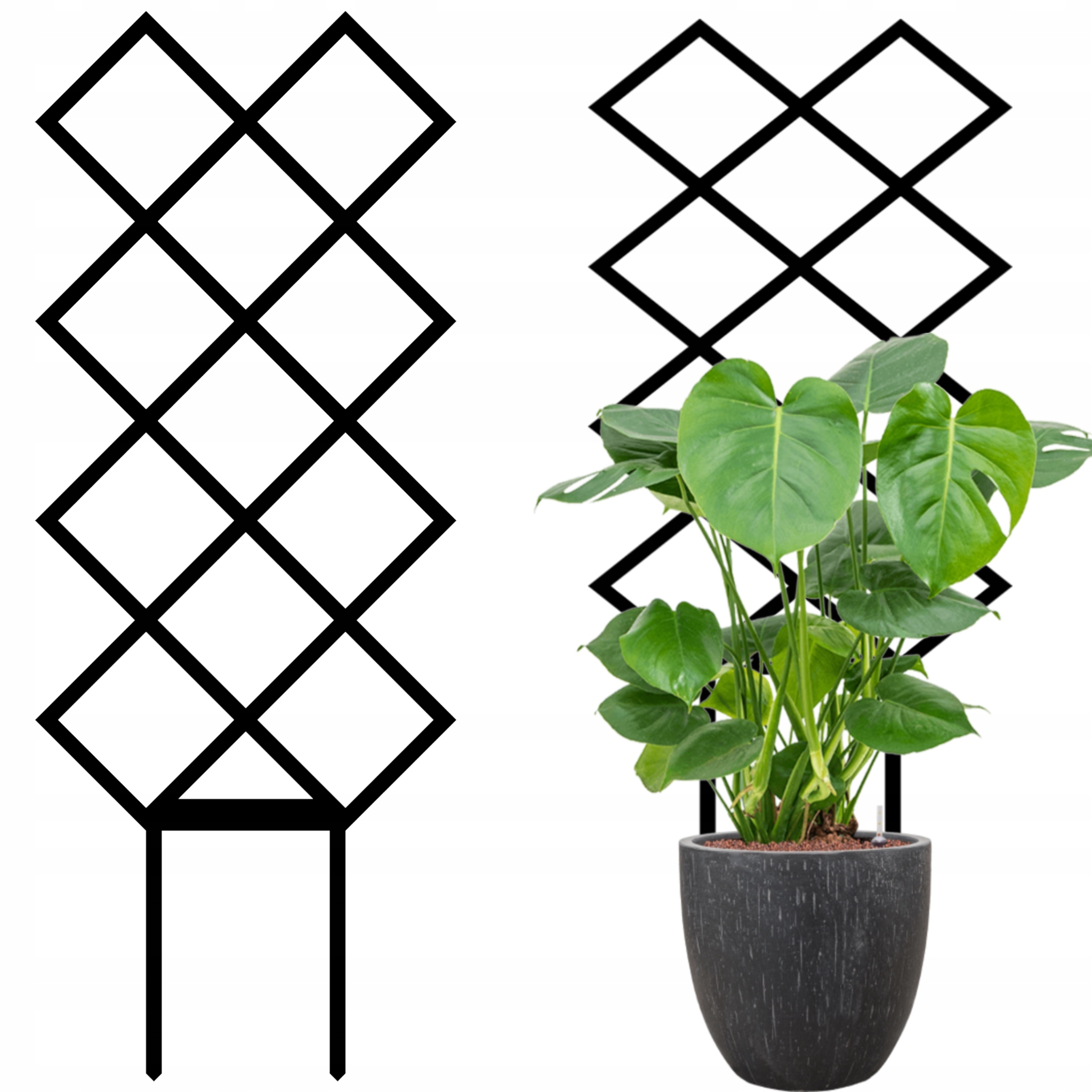 PODPORA PODPÓRKA DO MONSTERY WYTRZYMAŁA PERGOLA DRABINKA ROŚLIN PNĄCZY DOMO