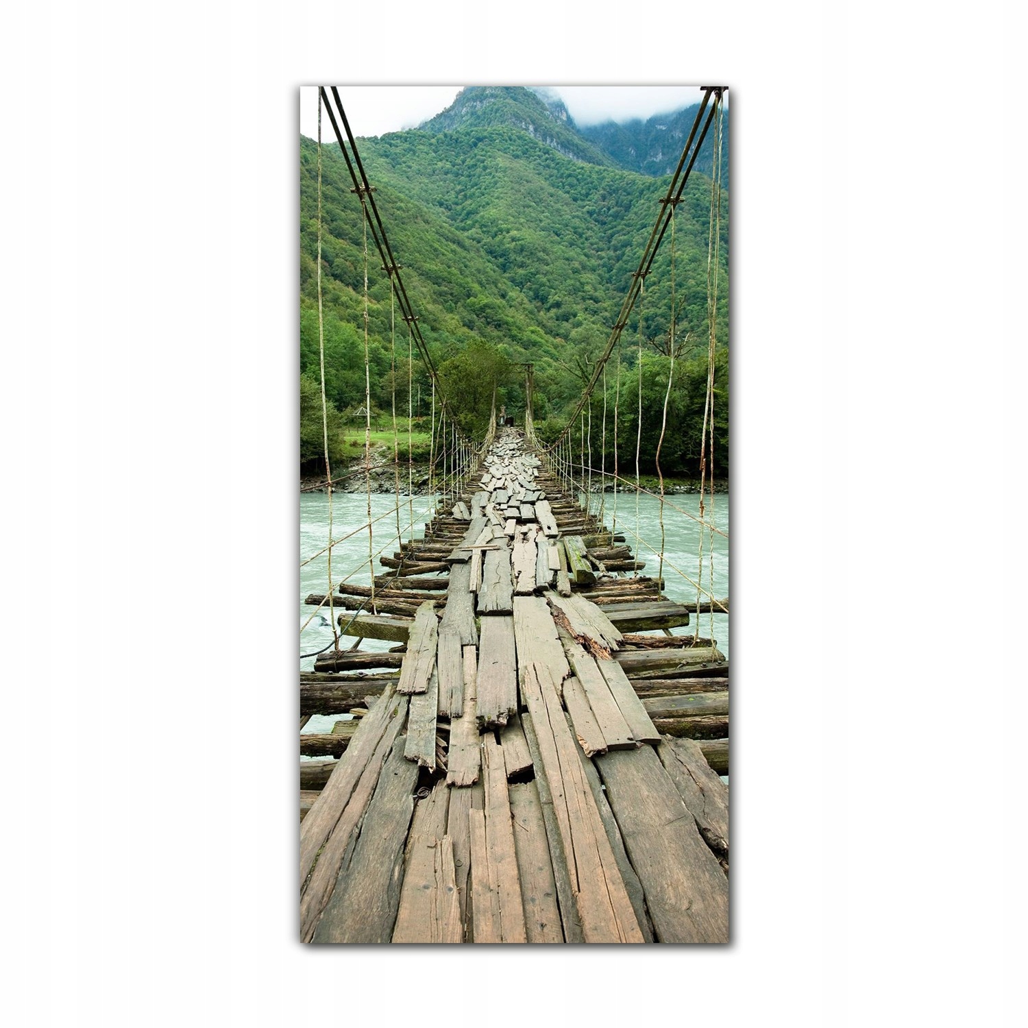 

Foto-obraz na szkle do kuchni 60x120 Most dżungla