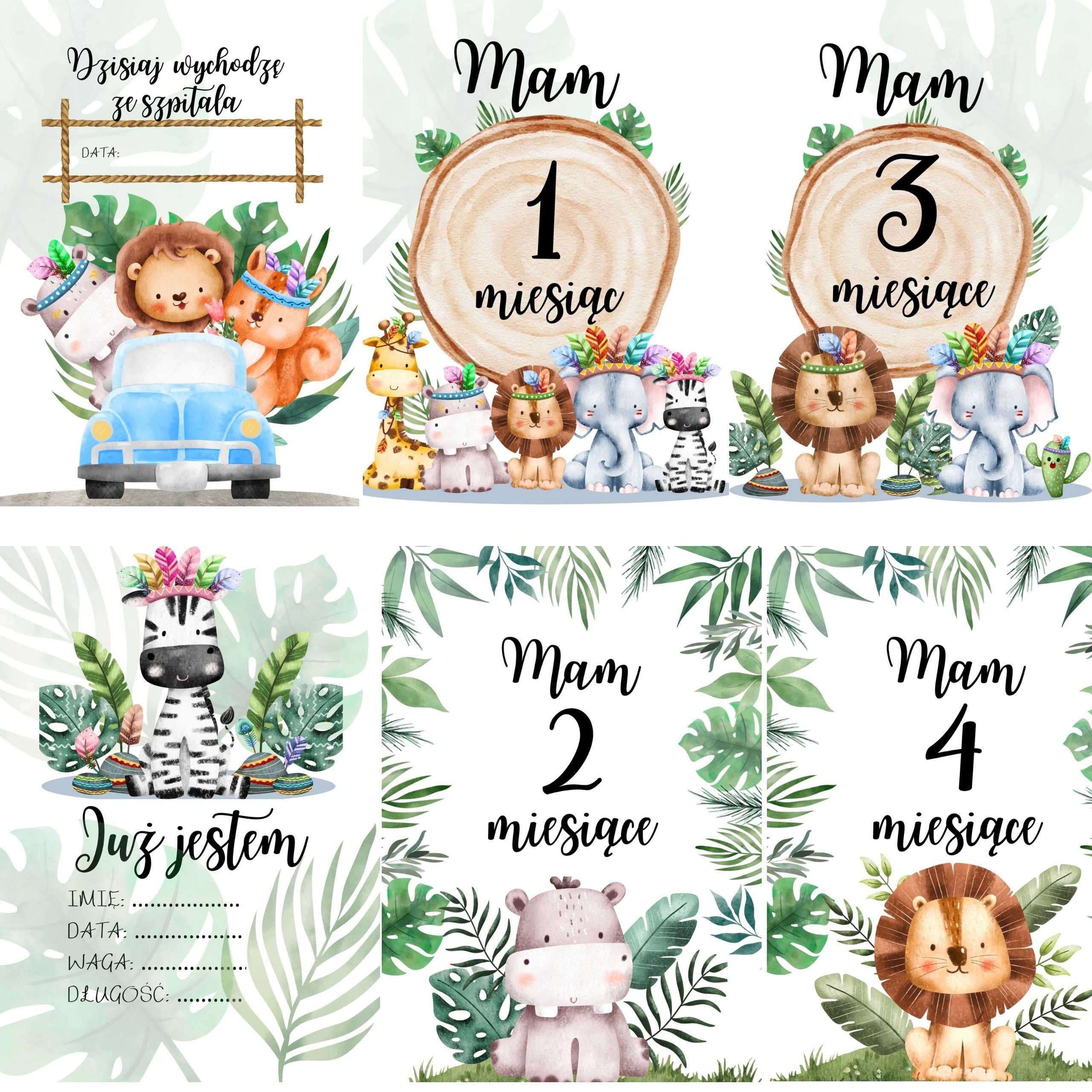 FOTO MATA do zdjęć PREMIUM Fotokocyk GRATIS KARTY Materiał inny