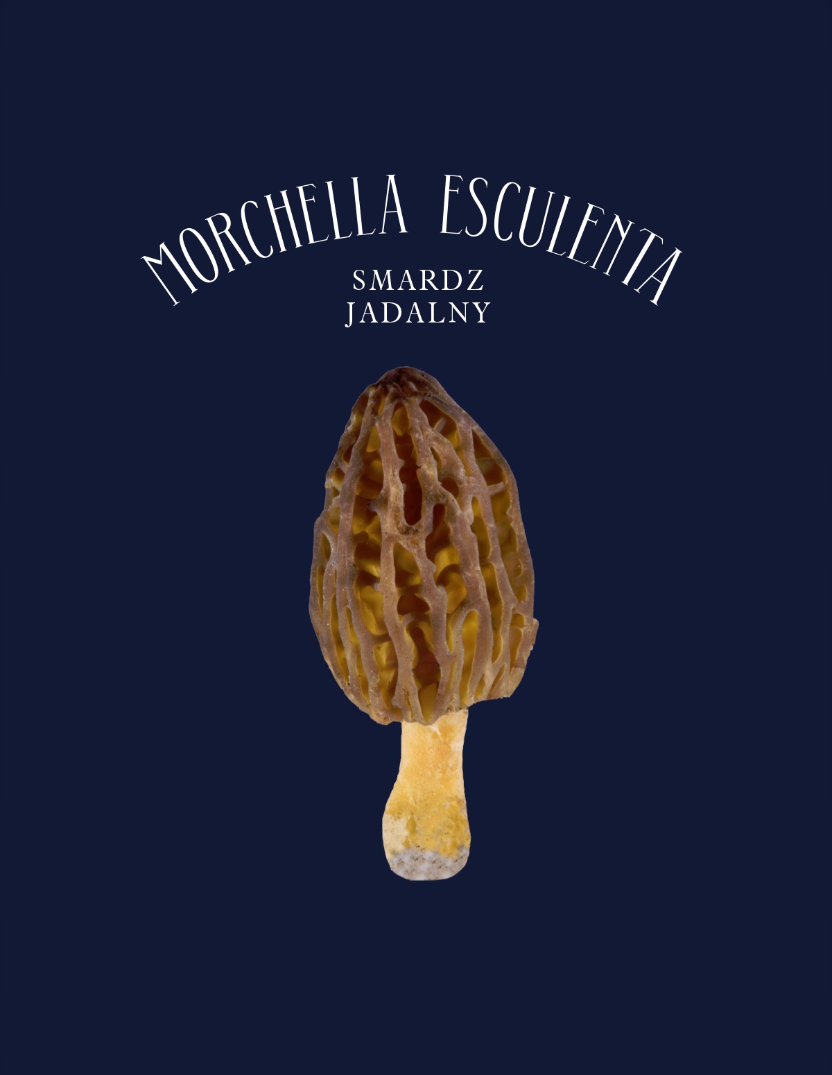 BLUZA Z KAPTUREM - SMARDZ M zielony Materiał dominujący bawełna