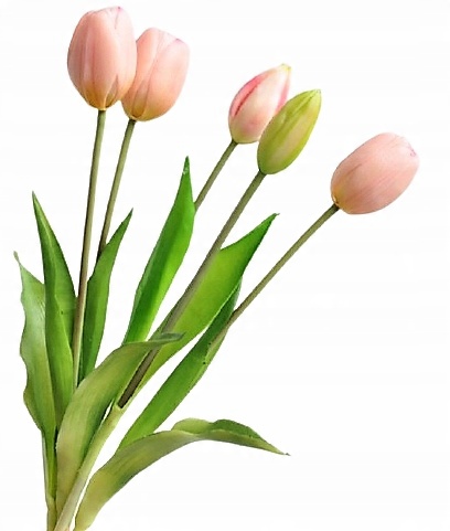 

Bukiet Tulipany tulipan silikonowe gumowe jak Żywe