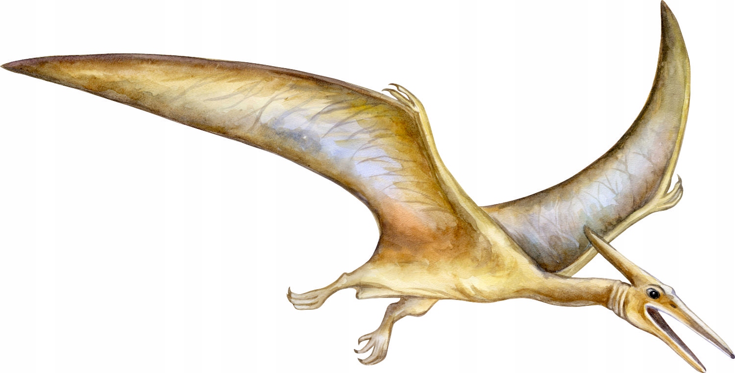 

Naklejka Na Ścianę Dinozaur 9 Wzorów