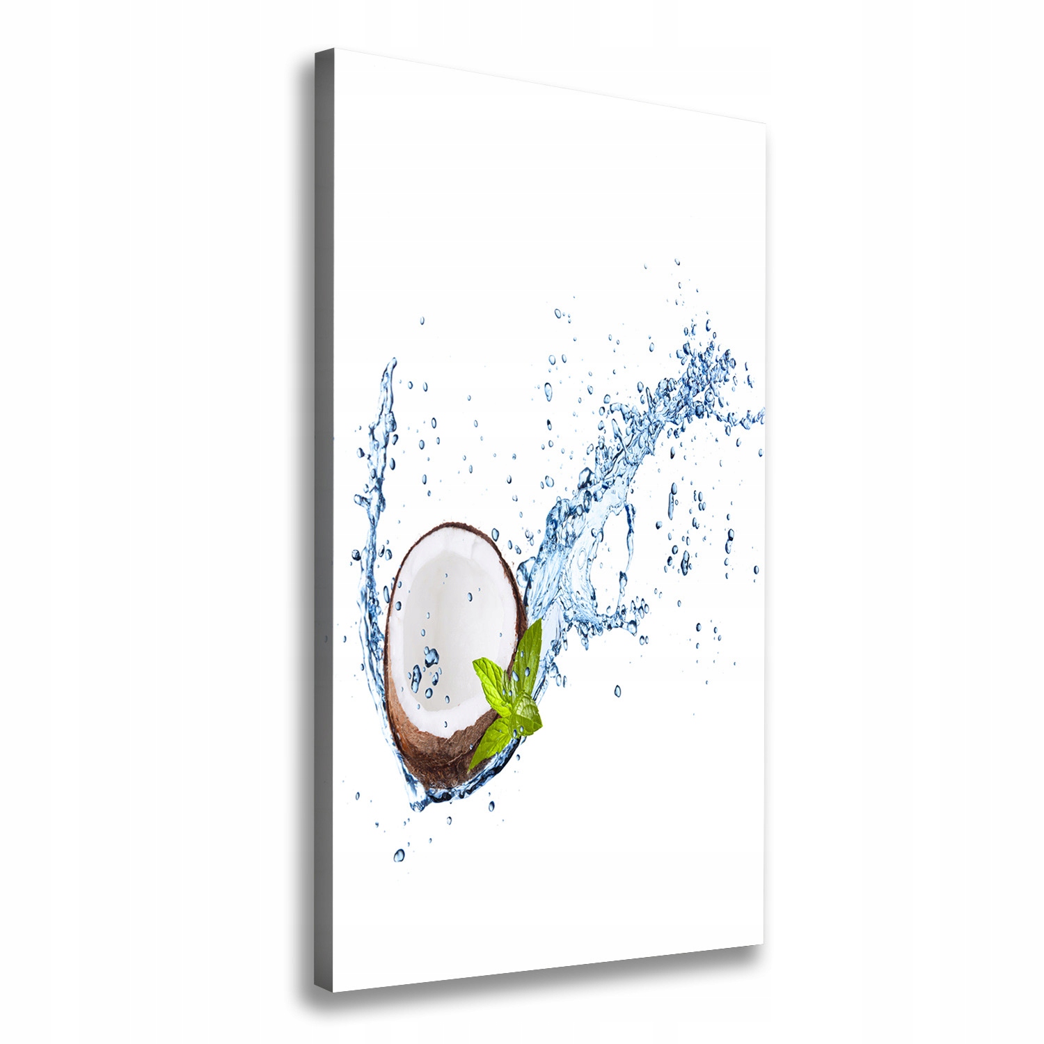 

Foto-obraz zdjęcie na płótnie Kokos 50x100 cm