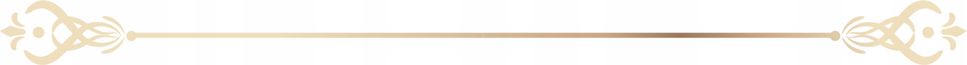 Odkurzacz Bezworkowy Cyklonowy Pionowy Przewodowy 600W Silna Moc Ssania Zasilanie sieciowe