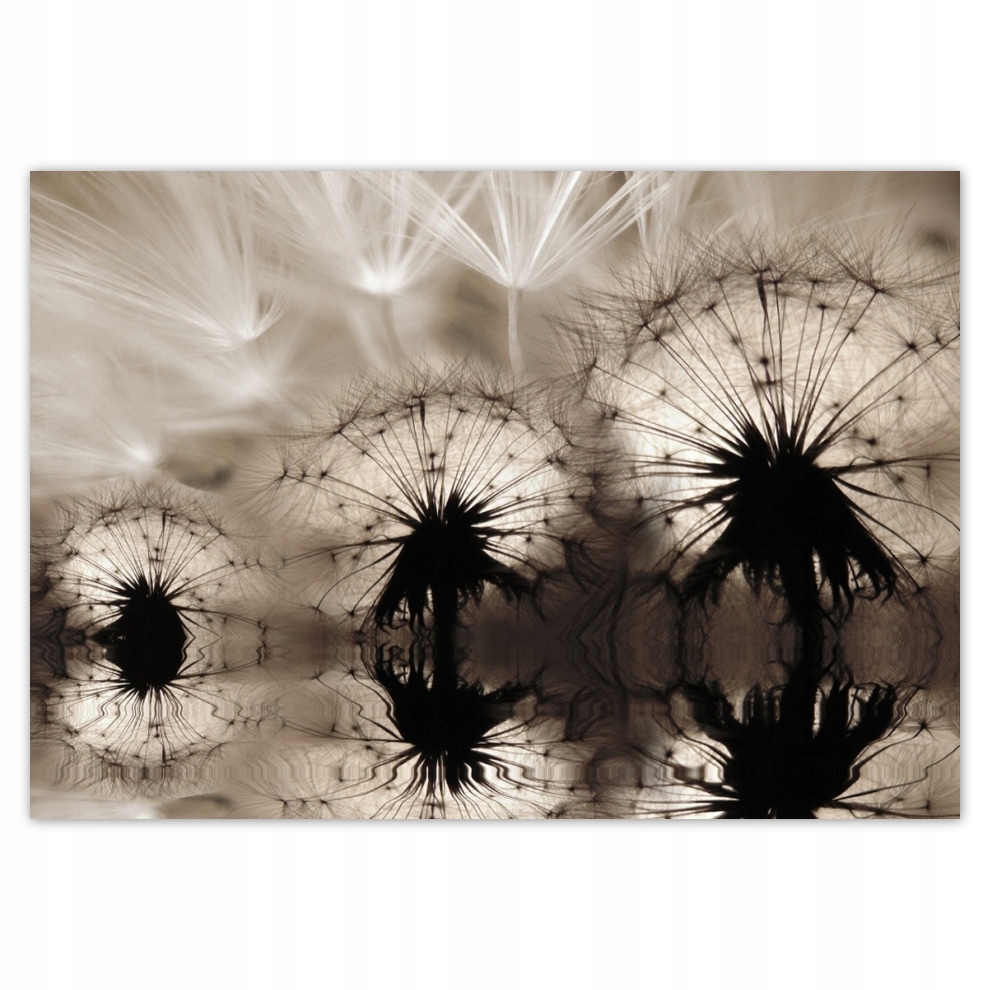 

Fototapety flizelina 416x290 Dmuchawce