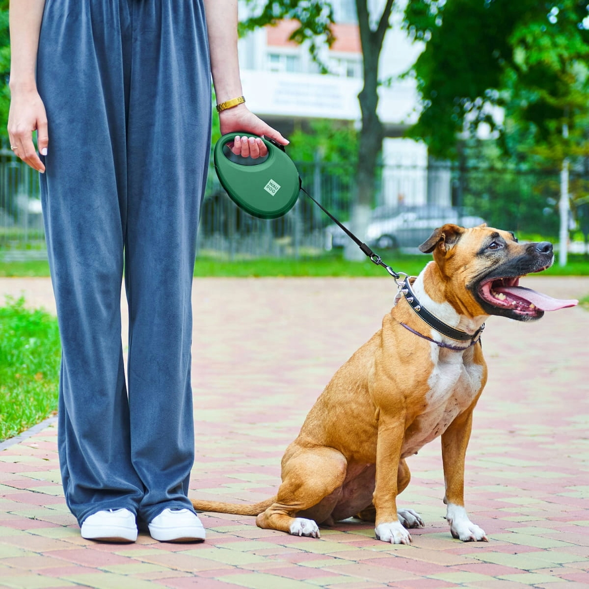 Levně Collar waudog vodítko automatická reflexní L do 40 kg zelená 5 m