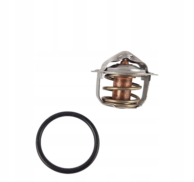 Termostat Case 1825B 127128A1