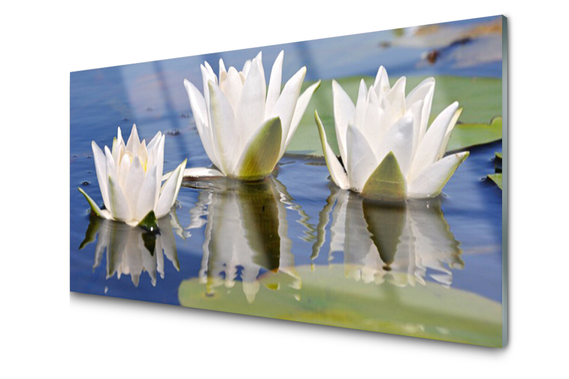 

Panel szklany dekor Kwiaty Roślina 120x60 + Klej
