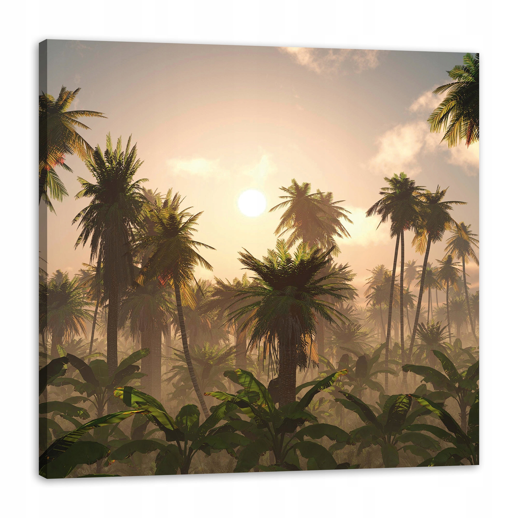 Obraz na plátně Západ slunce Palmy Příroda 80x80 cm Ideální jako dárek