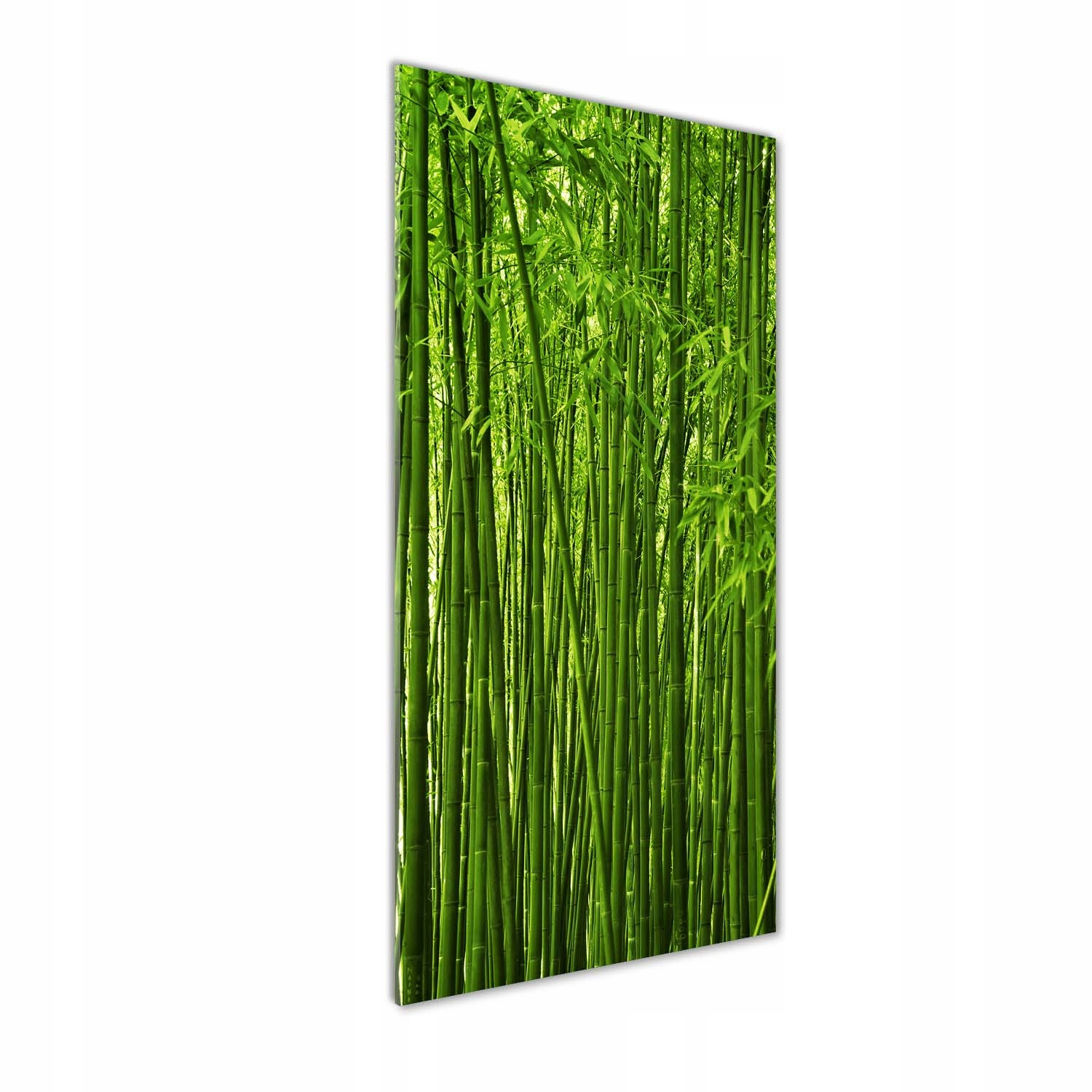 

Foto obraz szkło hartowane Bambusowy las 50x125 cm