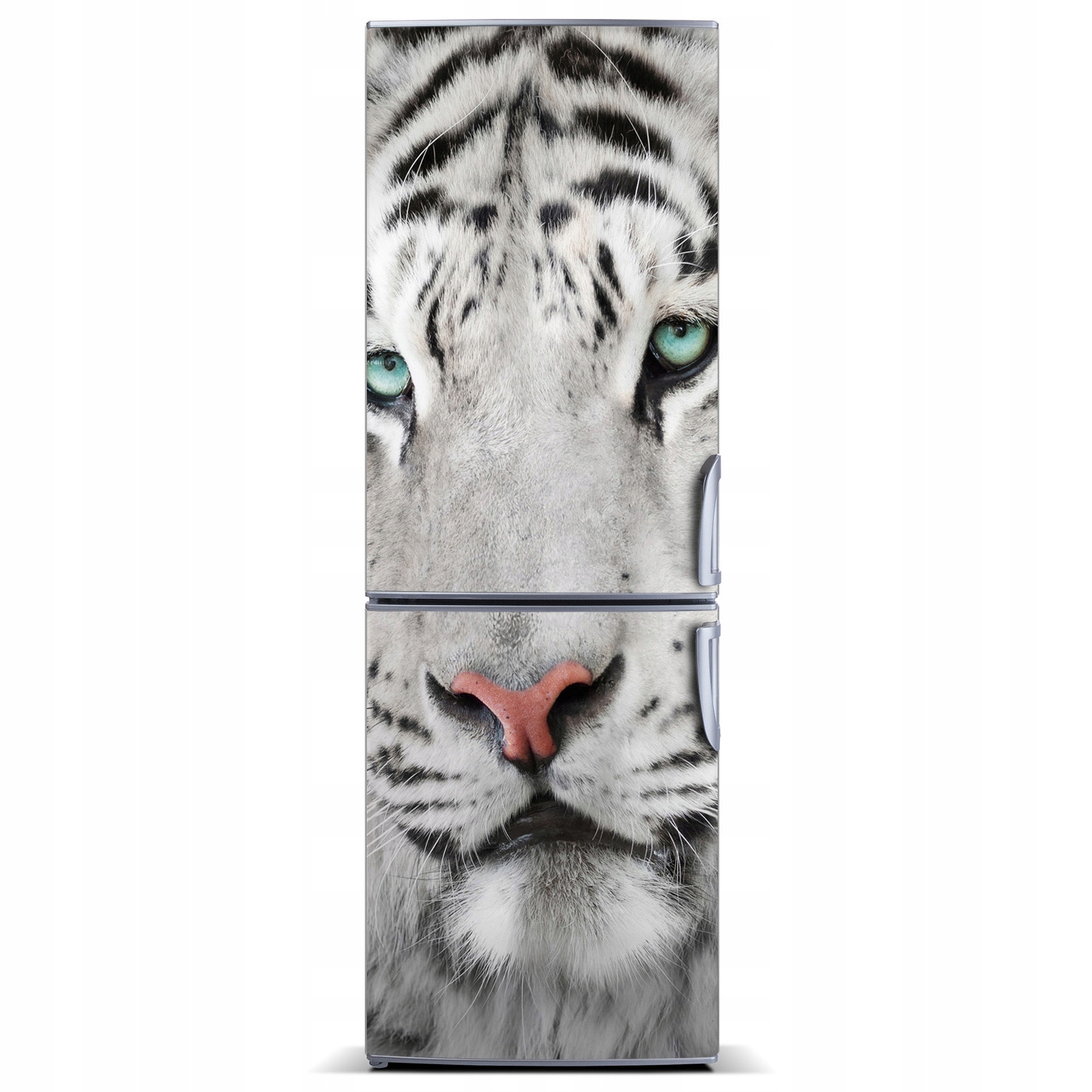 

Naklejka magnetyczna lodówkę Biały tygrys 60x180