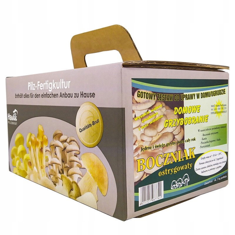 Boczniak UPRAWA BOCZNIAKA w Domu | BALOT ŻYWA grzybnia Boczniaka KARTON Stan opakowania oryginalne