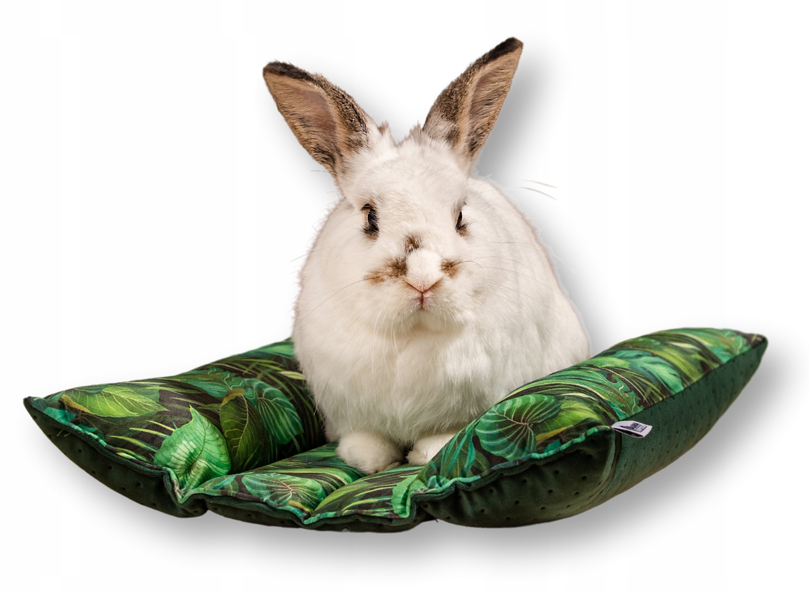 Levně potah pro Kraina Tuptusia Hot-dog