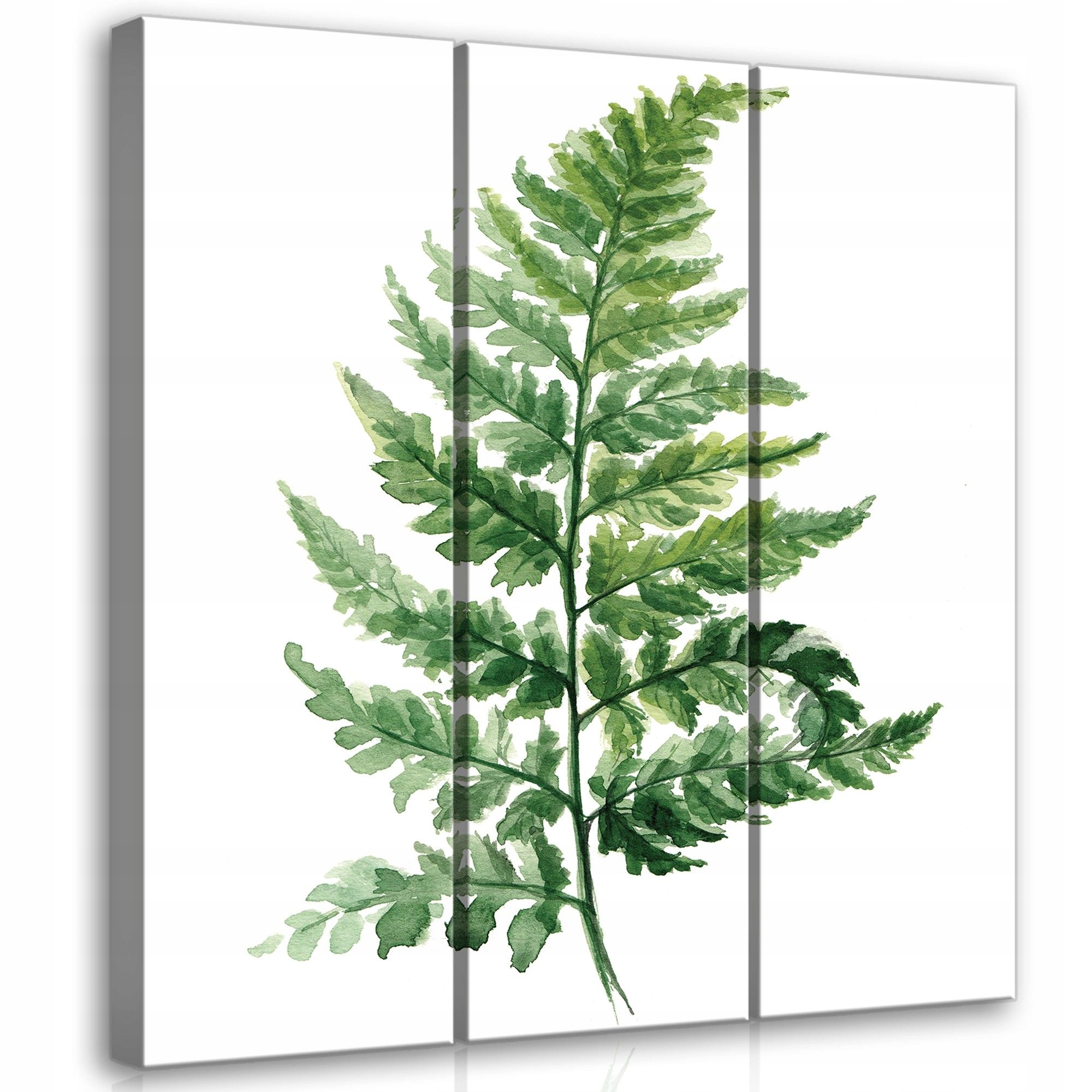 Obraz 90x100 Kapradina akvarel zelená příroda botanika minimalismus listy