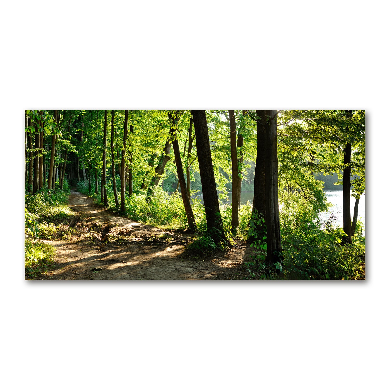 

Foto-obraz akryl Ścieżka na łące zdjęcie 140x70 cm