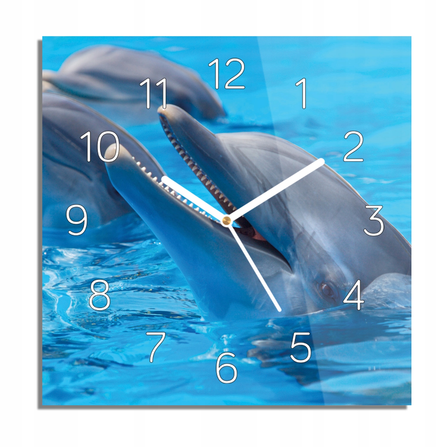 

Delfiny ocean zegar na szkle z grafiką 30x30 cichy
