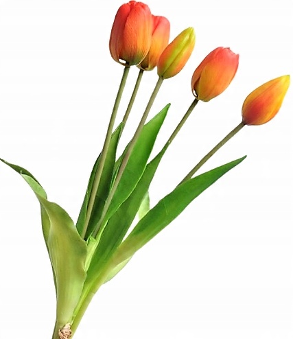 

Bukiet Tulipany tulipan silikonowe gumowe jak Żywe