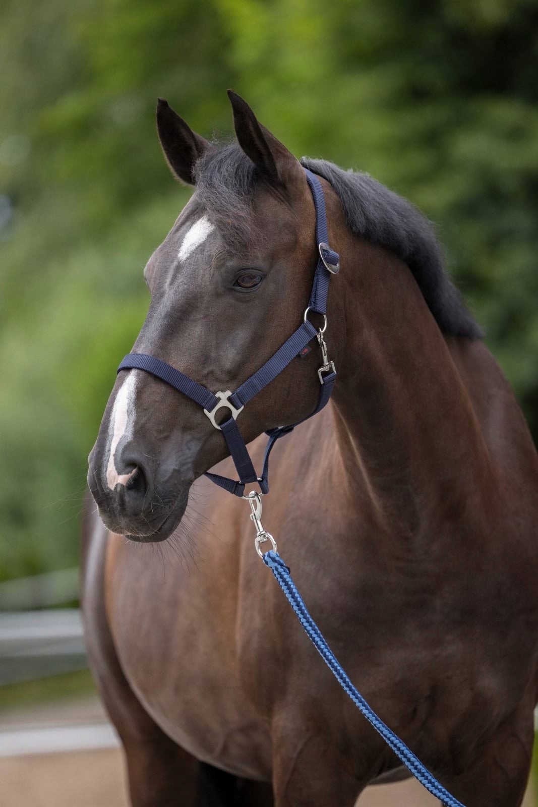 Kantar HIPPO dla koni granatowy rozmiar 4 XFull