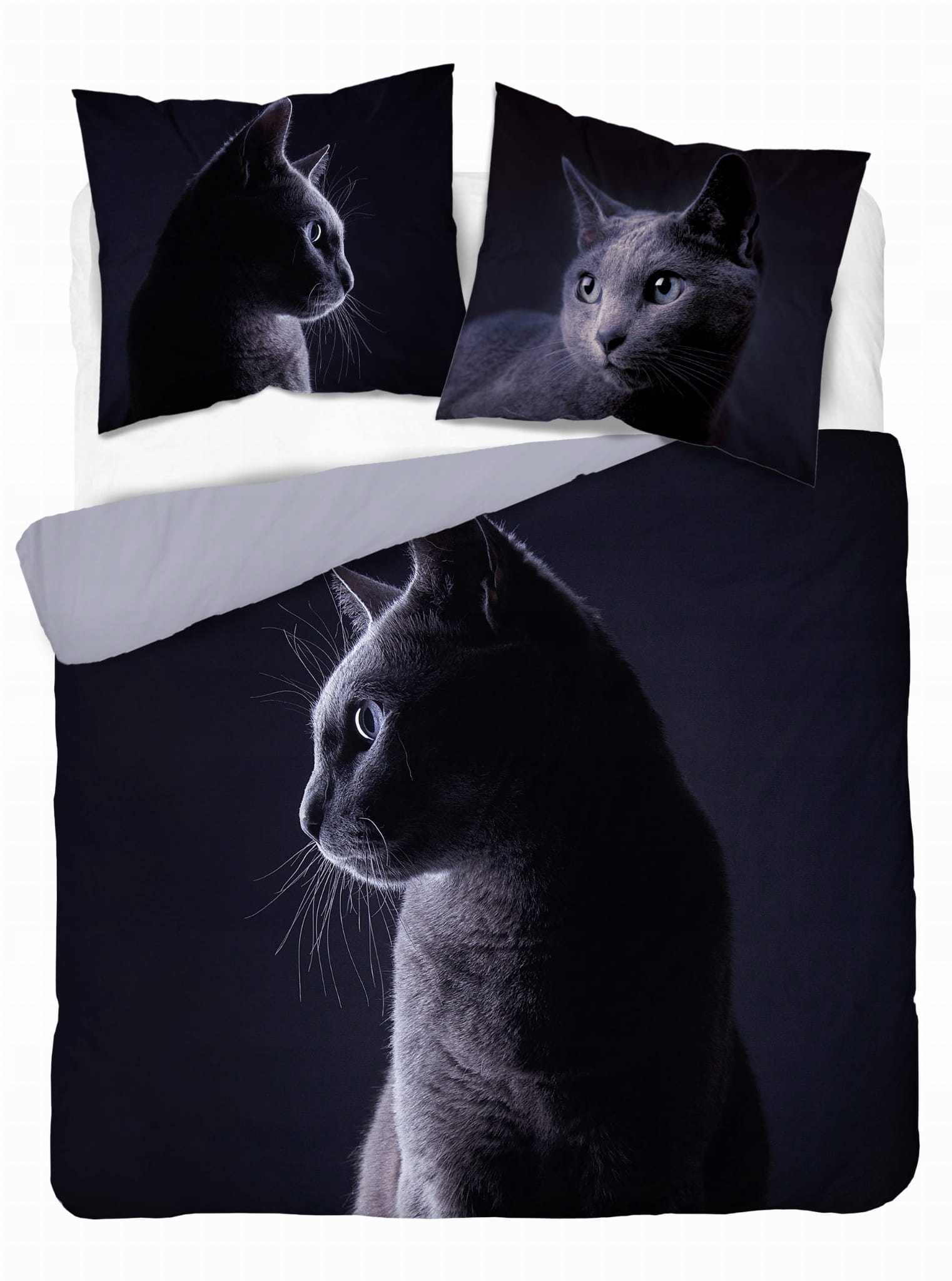 

Pościel Bawełniana Kot Brytyjski 160x200 Holland