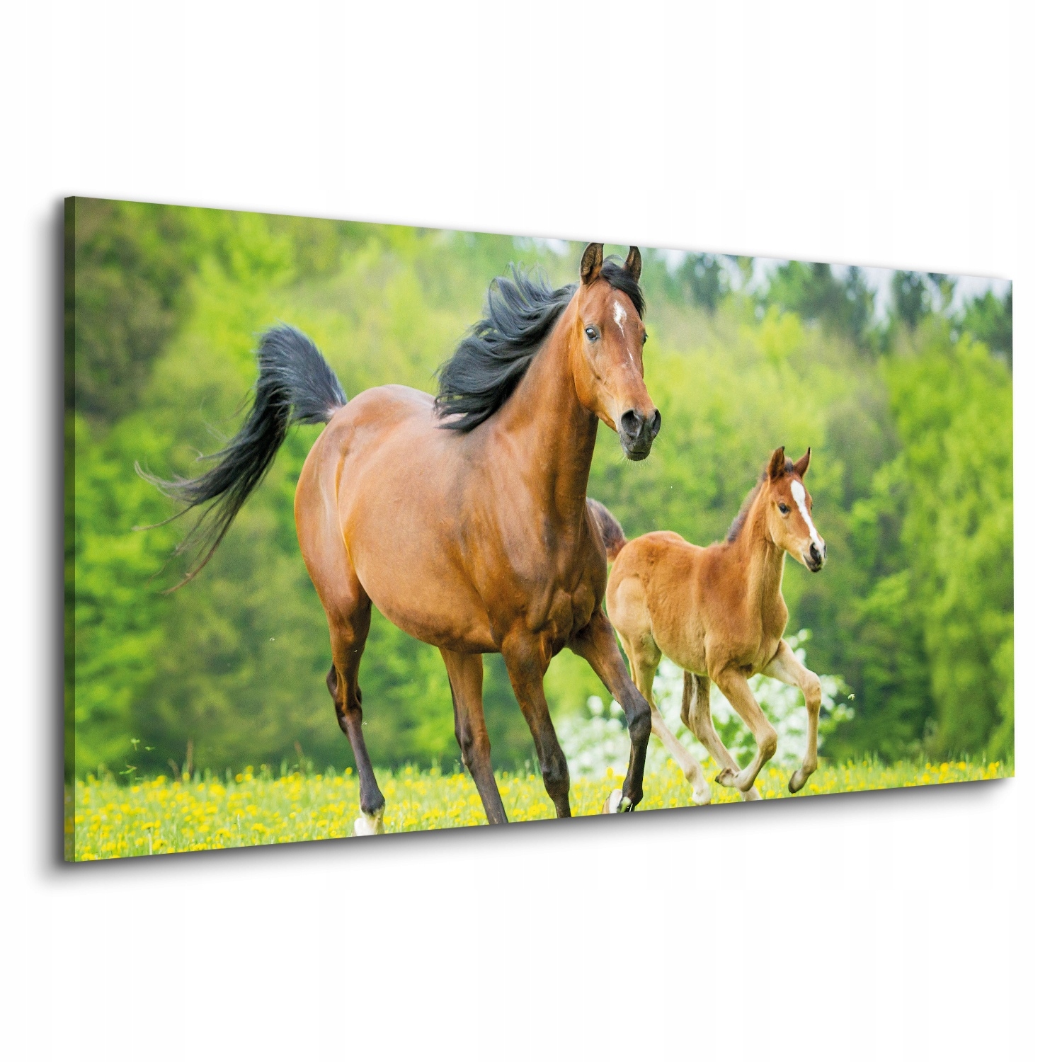Fotoobraz obraz na plátně 120x60 Koně květiny stromy