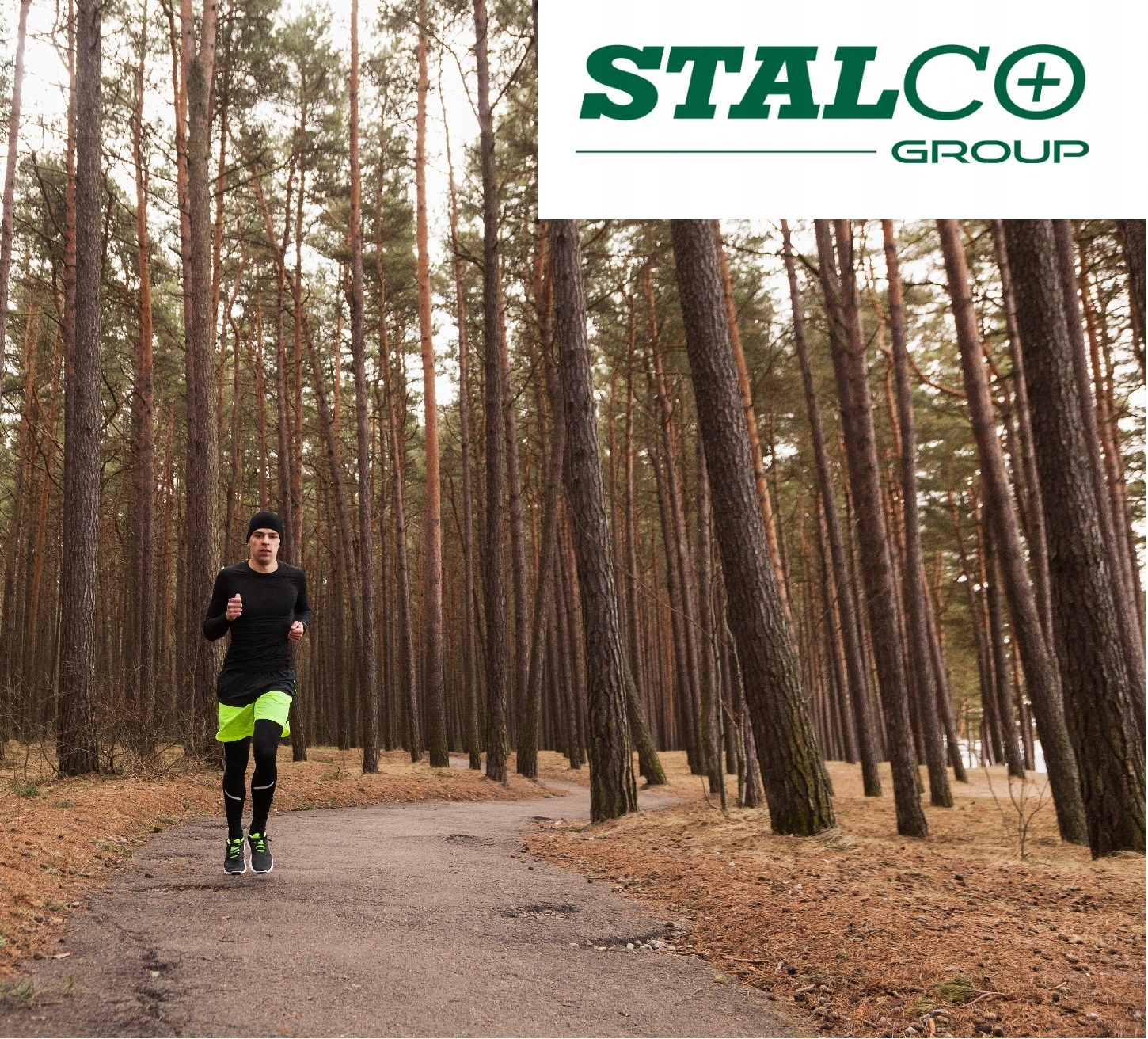 STALCO Spodnie Termoaktywne męskie Skyline XXL Rozmiar XXL