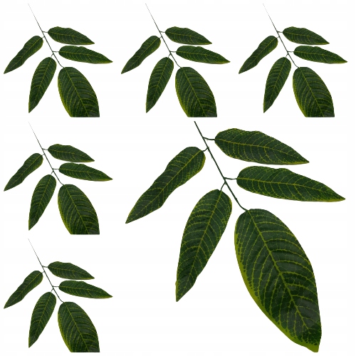 

Liście sztuczne dodatek liść Gałązka 57cm 6szt