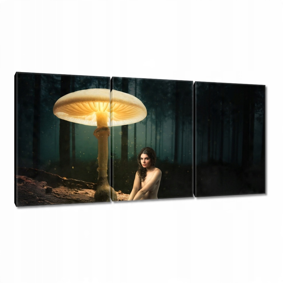 

Obrazy 120x60 HardCore Design Photo Hc