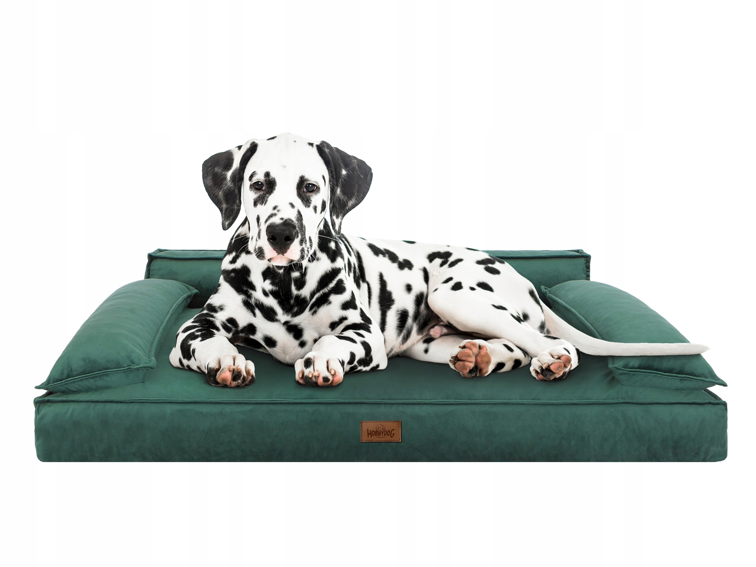 Levně Pohodlný Pelíšek Pelíšek pro psa XL 66x99 cm Zelená s pratelným potahem