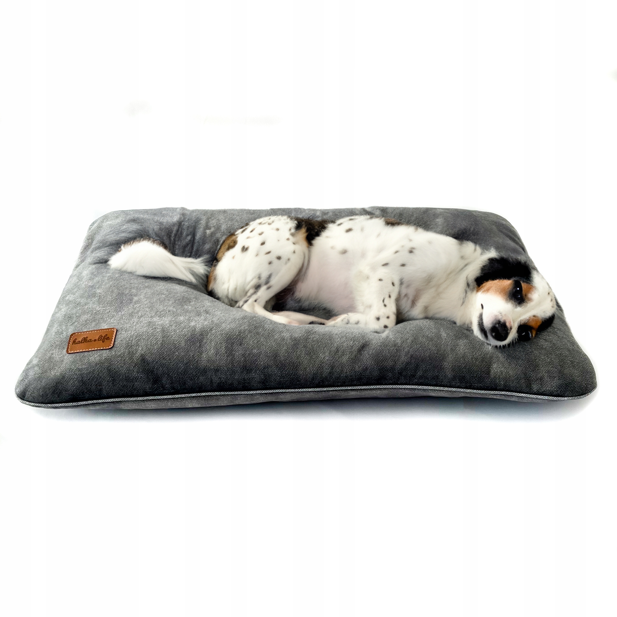 Levně Pelíšek pro psa, odolný polštář pro psa šedý, 100x70