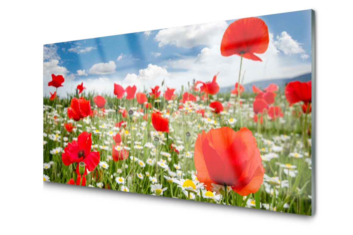 

Panel szklany Płytka Łąka Kwiaty 140x70 + Klej