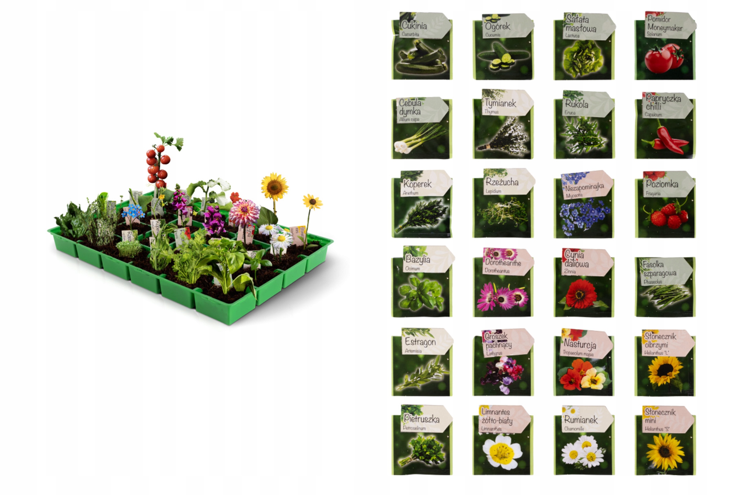 Адвент-календарь Purum Grow Joy, 24 пакетика семян и мини-теплица для выращивания — фото 3