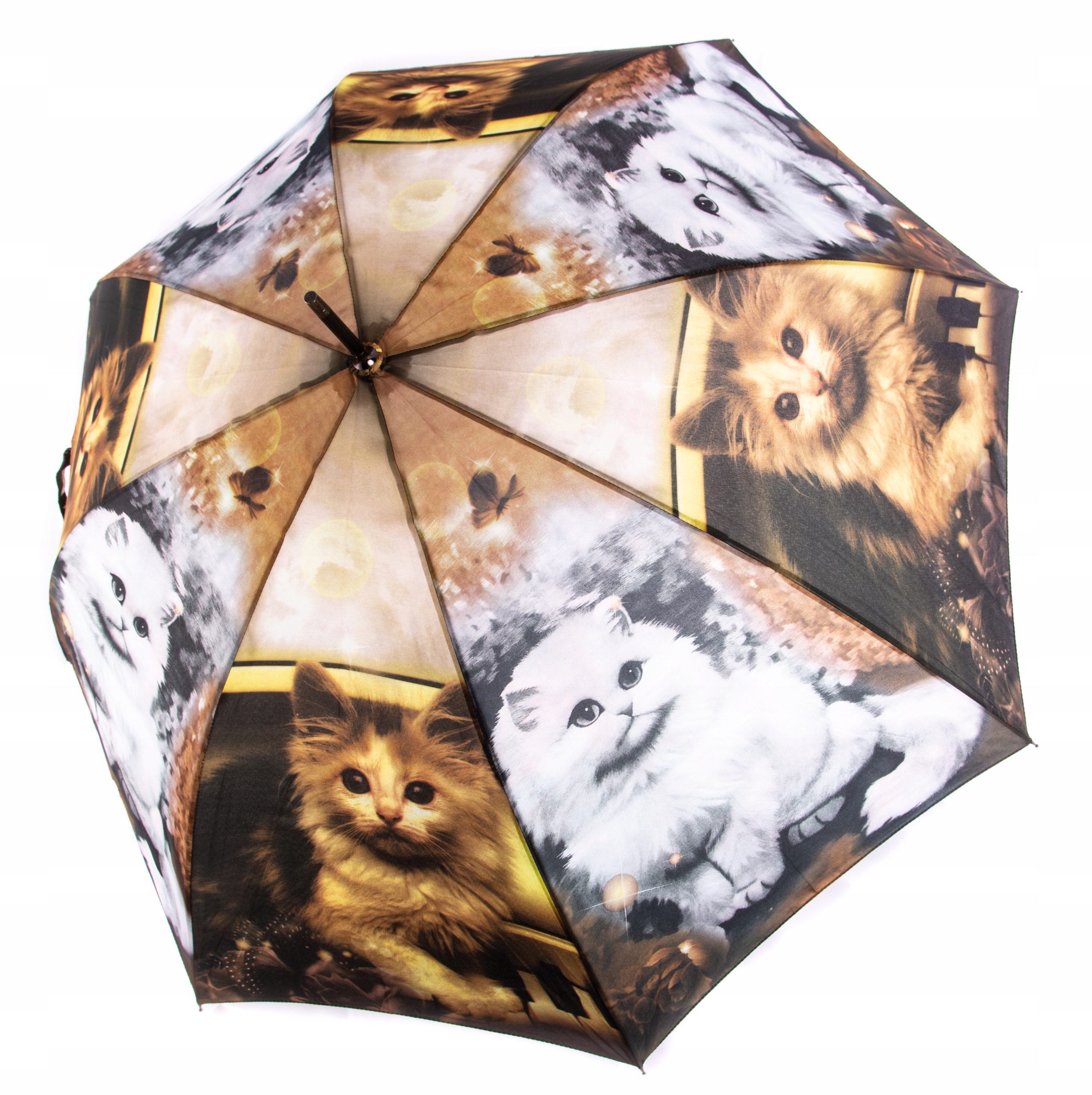 

Duży Parasol Koty Parasolka Różne