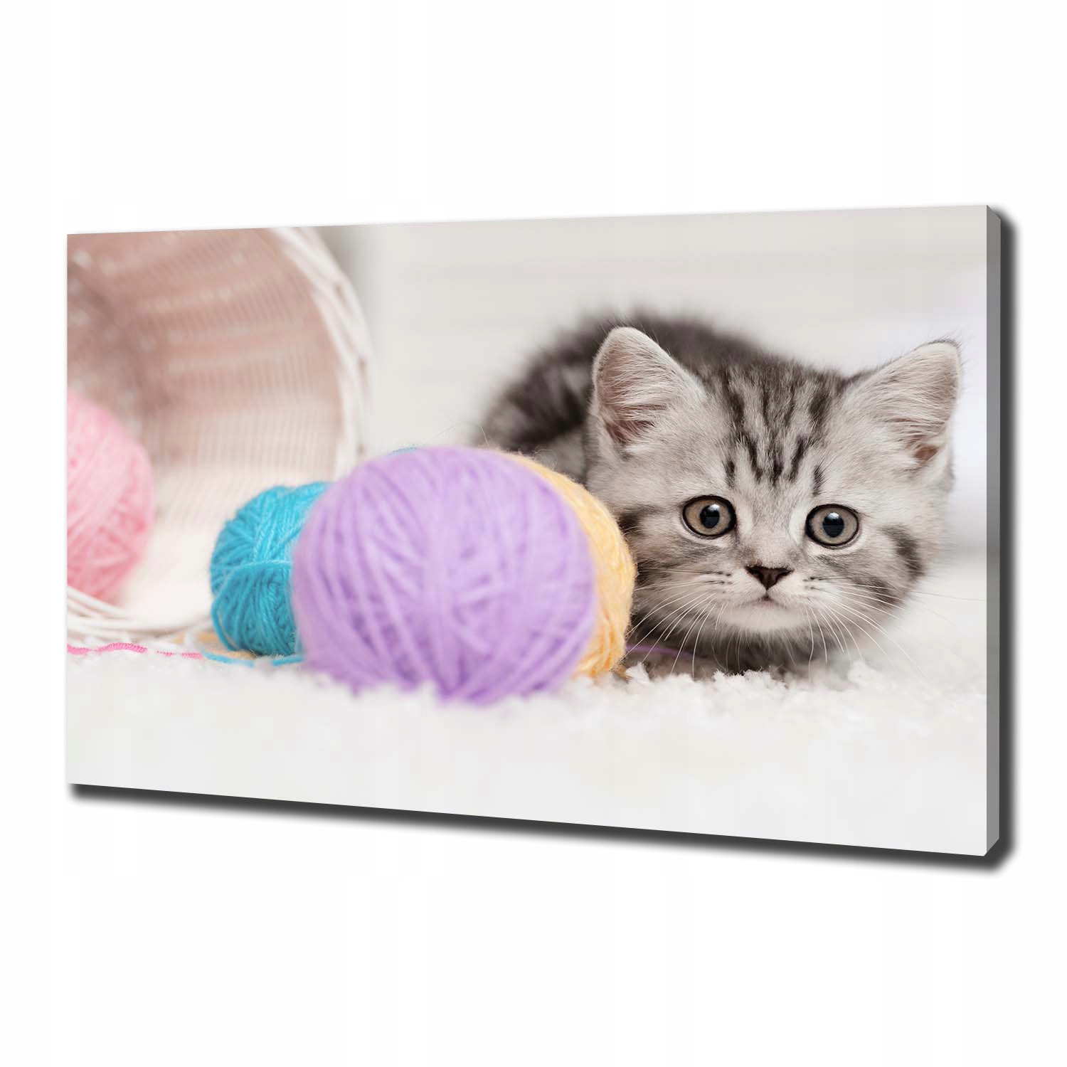 

Foto obraz na płótnie Kot z motkami 100x70 cm
