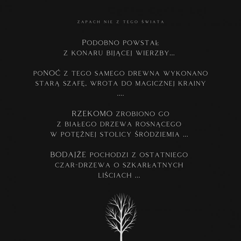 K2 EVOS BOSS perfumy do samochodu zawieszka drewno Waga produktu z opakowaniem jednostkowym 0.1 kg