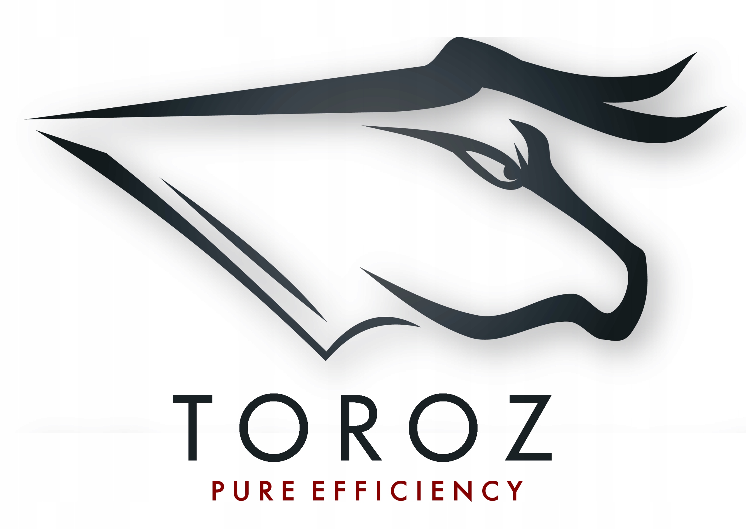 Kulka metal 7 cm, GRIP BALL jak do RUNMAGEDDON OCR Rodzaj inne