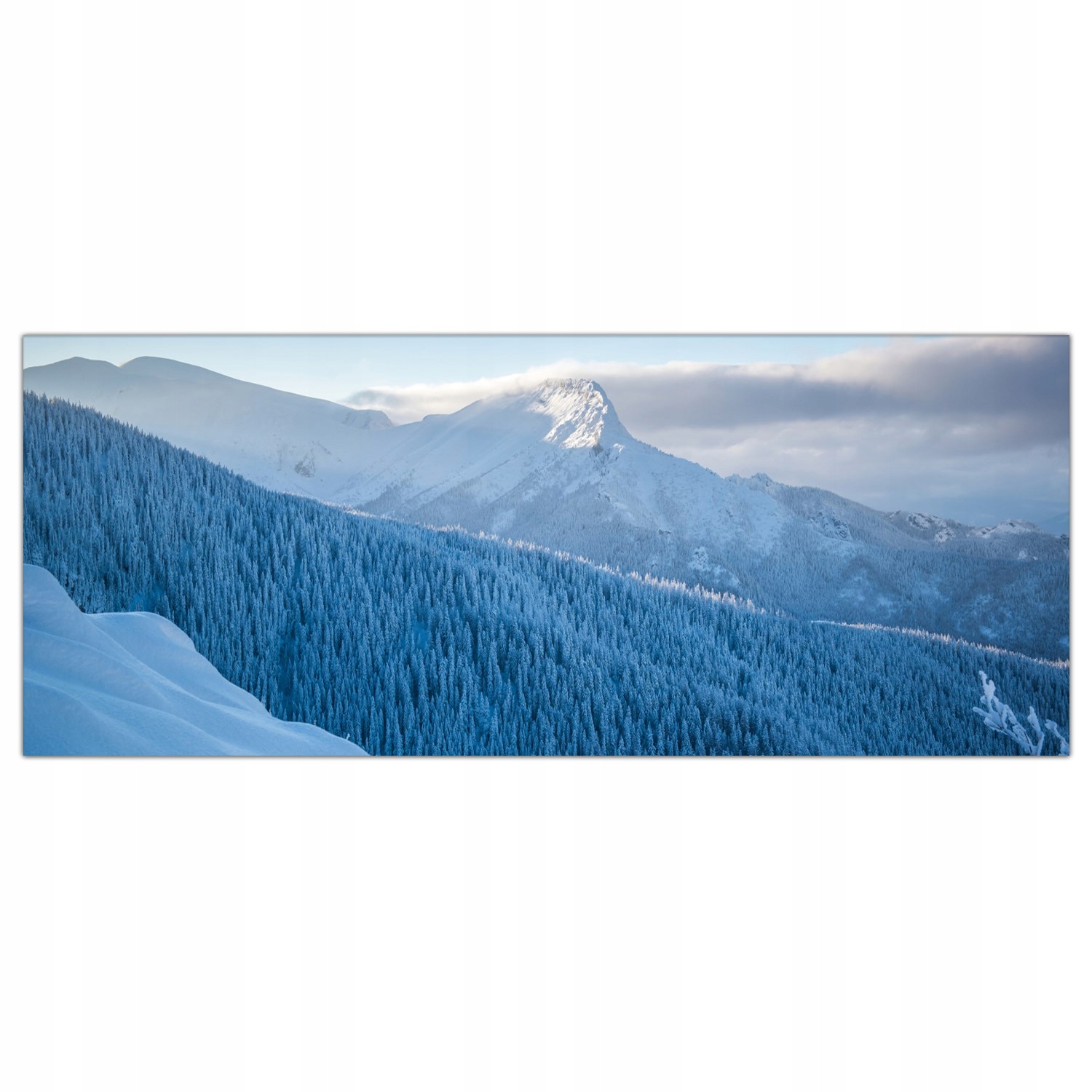

Obraz Szklany Foto-obraz Zima Tatry Góry 125x50